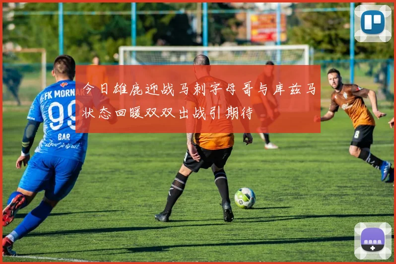 今日雄鹿迎战马刺字母哥与库兹马状态回暖双双出战引期待