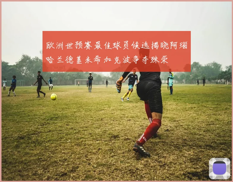 欧洲世预赛最佳球员候选揭晓阿瑙哈兰德基米希加克波争夺殊荣