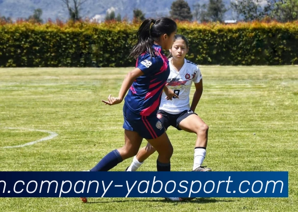 App Interface Preview